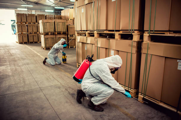 Best Residential Pest Control  in Trucksville, PA