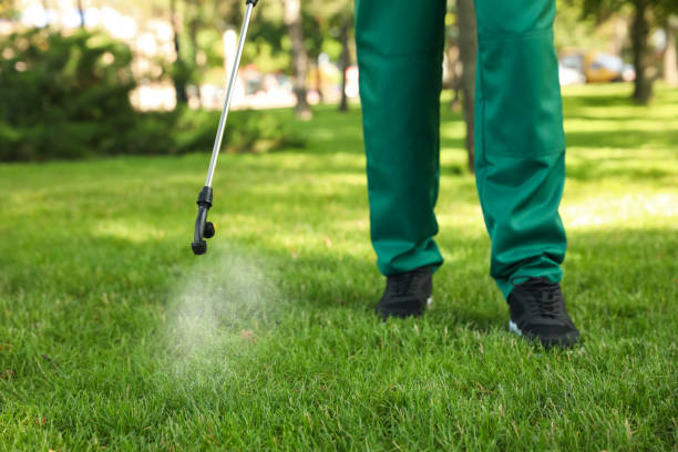 Best Pest Inspection Near Me  in Trucksville, PA