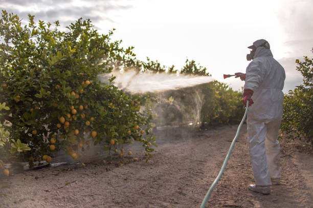 Best Pest Removal Services  in Trucksville, PA
