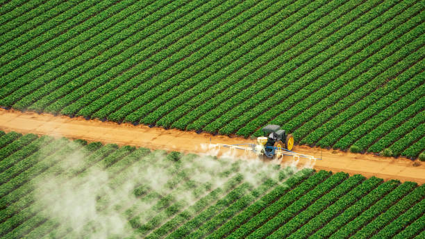 Reliable Trucksville, PA Pest Control Solutions