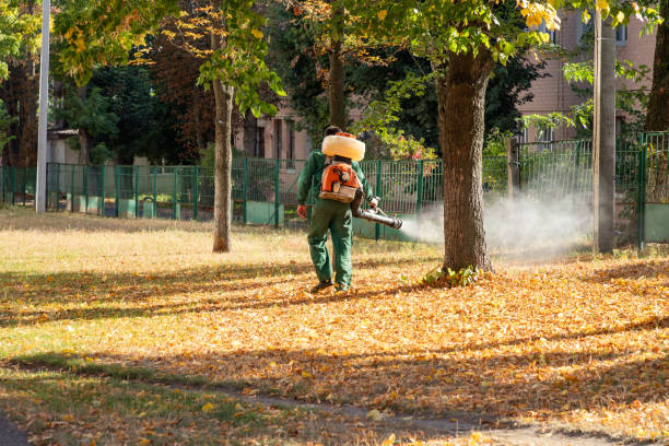 Insect Control in Trucksville, PA